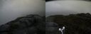 ./images/calvert/buxton2/20160603/buxton220160603_115022M.jpg