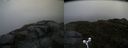 ./images/calvert/buxton2/20160603/buxton220160603_120021M.jpg