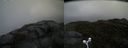 ./images/calvert/buxton2/20160603/buxton220160603_120504M.jpg
