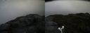 ./images/calvert/buxton2/20160603/buxton220160603_124007M.jpg