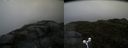 ./images/calvert/buxton2/20160603/buxton220160603_124523M.jpg