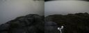 ./images/calvert/buxton2/20160603/buxton220160603_132505M.jpg