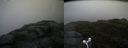 ./images/calvert/buxton2/20160603/buxton220160603_134505M.jpg