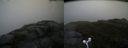./images/calvert/buxton2/20160603/buxton220160603_135003M.jpg
