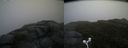 ./images/calvert/buxton2/20160603/buxton220160603_135512M.jpg