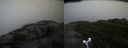 ./images/calvert/buxton2/20160603/buxton220160603_140107M.jpg