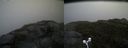 ./images/calvert/buxton2/20160603/buxton220160603_140516M.jpg