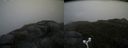 ./images/calvert/buxton2/20160603/buxton220160603_142515M.jpg
