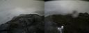 ./images/calvert/buxton2/20160603/buxton220160603_194511M.jpg