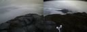 ./images/calvert/buxton2/20160604/buxton220160604_052503M.jpg