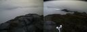 ./images/calvert/buxton2/20160604/buxton220160604_053015M.jpg