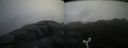 ./images/calvert/buxton2/20160604/buxton220160604_083003M.jpg