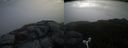 ./images/calvert/buxton2/20160606/buxton220160606_084001M.jpg