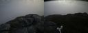 ./images/calvert/buxton2/20160606/buxton220160606_090514M.jpg