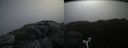 ./images/calvert/buxton2/20160606/buxton220160606_092032M.jpg