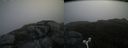 ./images/calvert/buxton2/20160606/buxton220160606_100013M.jpg