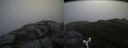 ./images/calvert/buxton2/20160606/buxton220160606_101550M.jpg