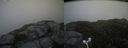 ./images/calvert/buxton2/20160606/buxton220160606_145507M.jpg
