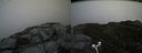 ./images/calvert/buxton2/20160606/buxton220160606_150008M.jpg