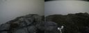./images/calvert/buxton2/20160606/buxton220160606_151521M.jpg