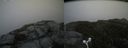 ./images/calvert/buxton2/20160606/buxton220160606_153001M.jpg