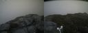 ./images/calvert/buxton2/20160606/buxton220160606_174003M.jpg