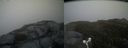 ./images/calvert/buxton2/20160606/buxton220160606_202503M.jpg