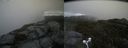 ./images/calvert/buxton2/20160608/buxton220160608_093515M.jpg