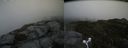 ./images/calvert/buxton2/20160608/buxton220160608_100544M.jpg
