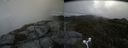 ./images/calvert/buxton2/20160608/buxton220160608_102505M.jpg