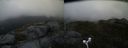 ./images/calvert/buxton2/20160608/buxton220160608_131016M.jpg