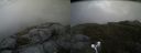 ./images/calvert/buxton2/20160608/buxton220160608_194010M.jpg
