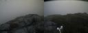 ./images/calvert/buxton2/20160608/buxton220160608_194506M.jpg