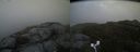 ./images/calvert/buxton2/20160608/buxton220160608_195515M.jpg
