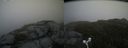 ./images/calvert/buxton2/20160609/buxton220160609_100027M.jpg