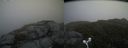 ./images/calvert/buxton2/20160609/buxton220160609_100538M.jpg