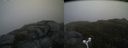 ./images/calvert/buxton2/20160610/buxton220160610_124506M.jpg