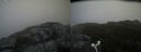 ./images/calvert/buxton2/20160610/buxton220160610_170504M.jpg