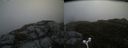 ./images/calvert/buxton2/20160610/buxton220160610_175005M.jpg