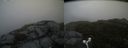 ./images/calvert/buxton2/20160610/buxton220160610_200534M.jpg