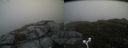 ./images/calvert/buxton2/20160610/buxton220160610_210007M.jpg