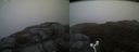./images/calvert/buxton2/20160610/buxton220160610_214503M.jpg