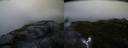 ./images/calvert/buxton2/20160612/buxton220160612_051008M.jpg