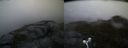 ./images/calvert/buxton2/20160612/buxton220160612_055511M.jpg