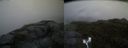 ./images/calvert/buxton2/20160612/buxton220160612_064003M.jpg