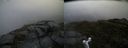 ./images/calvert/buxton2/20160612/buxton220160612_085002M.jpg