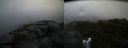 ./images/calvert/buxton2/20160612/buxton220160612_090002M.jpg