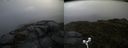 ./images/calvert/buxton2/20160612/buxton220160612_091001M.jpg