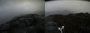 ./images/calvert/buxton2/20160612/buxton220160612_111542M.jpg