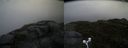 ./images/calvert/buxton2/20160612/buxton220160612_133003M.jpg